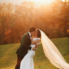 Halo, Beyonce - Live String Trio - Violin, Cello + Guitar