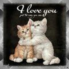 Donor - ily!!!2 (old) ft Woodztock