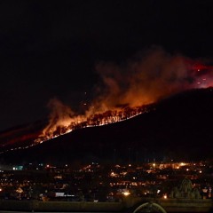 TOG Ty x Trapkid Mar x Trapkid lil - “2020“