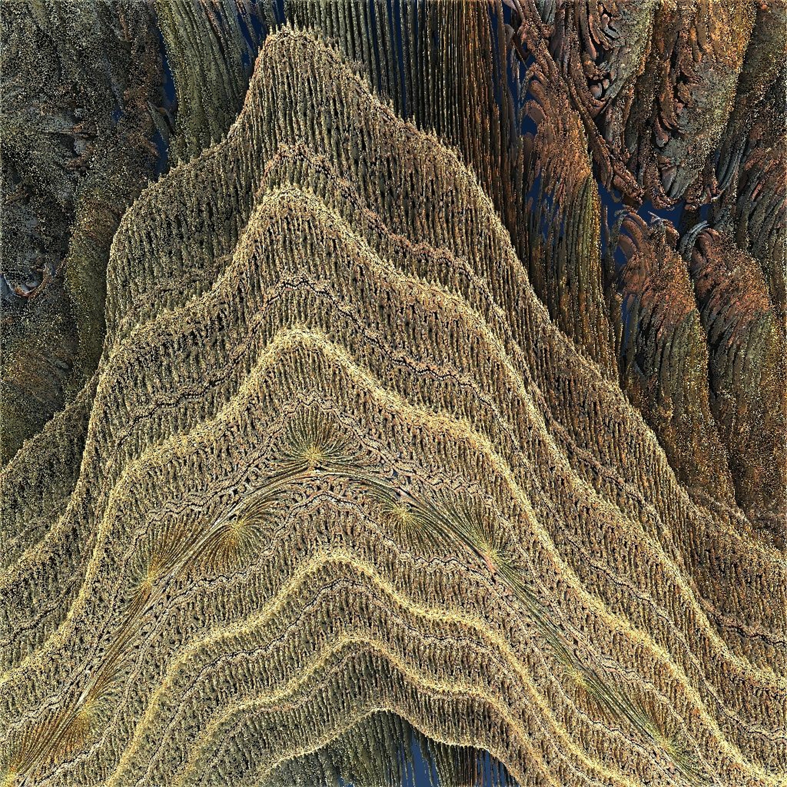 EnigmaCurry
