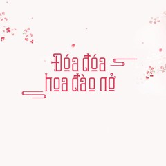 Đóa đóa hoa đào nở - A Ngưu | 桃花朵朵开 - 阿牛