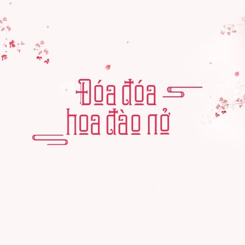 Đóa đóa hoa đào nở - A Ngưu | 桃花朵朵开 - 阿牛