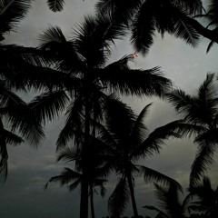 Cloudy Skies