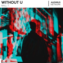 Niall T - Without U
