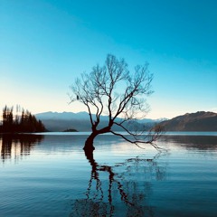 Kushty || DeepTech || November 19