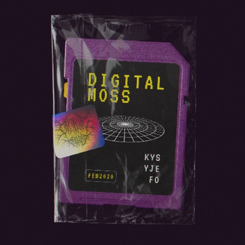 kysyjefo