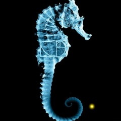 Gnosia