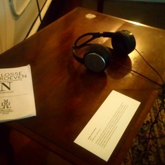 HERSENTJES -  Museum Dr. Guislain - in het hoofd van een patiënt in opname in de jaren '60