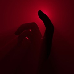 Bodycodes (feat. Asbjorn)