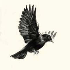 Blackbird(cover)
