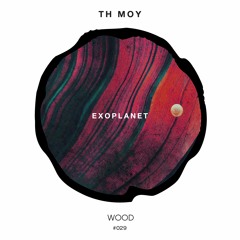 Th Moy - Elevation (Original Mix)