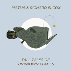Matija & richard elcox - The Last Mountain (Madmotormiquel & Fulltone Remix)