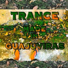 Trance made in Guajuviras - Raden