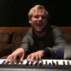 Avicii - Never Leave Me X LLE Melody (Preview)
