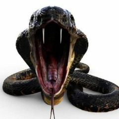 ♫Party Of Snake[FiqriPratama] Ft.MuhammadIdris&YudaKemprot-=