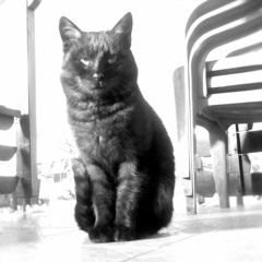 techno mixes
