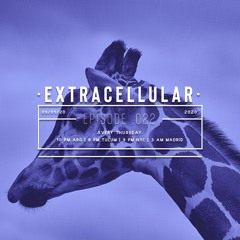 Extracellular / Episode 022 / 09-Ene-2020