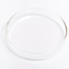 Petri Dishes from other parallel universes
