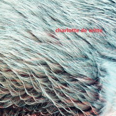 CHARLOTTE DE WITTE - VISION EP (FIGURE X17) preview