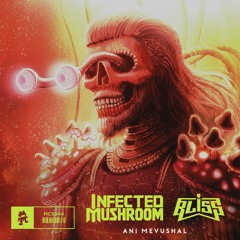 Infected Mushroom & Bliss - Ani Mevushal