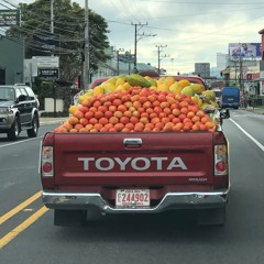 Toxic (Not Britnay Bitch)