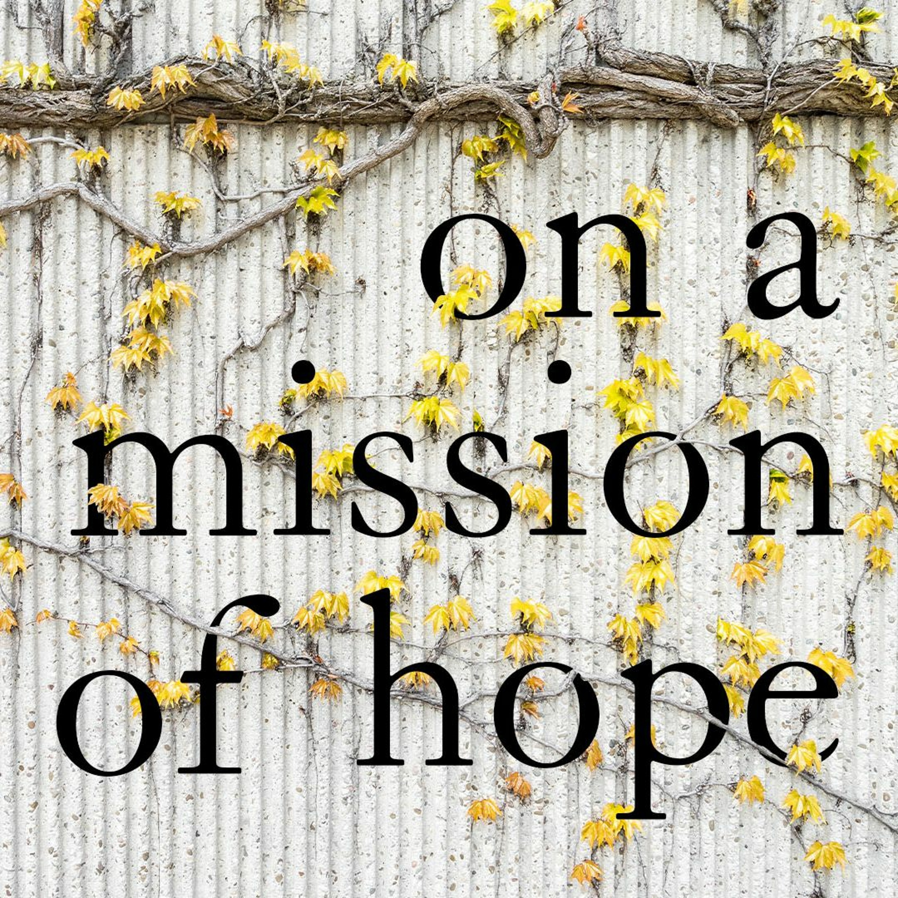 19 January 2020 | On A Mission of Hope: 1 Peter 2-3 - Luke Parker episode artwork