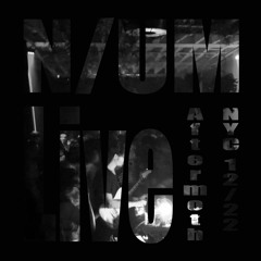 N/UM live at Aftermoth NYC 12.15