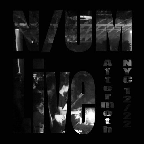 N/UM live at Aftermoth NYC 12.15