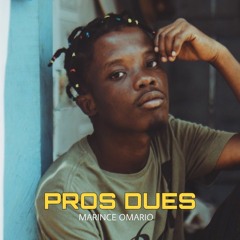 Pro's Dues I Prod By Nicholas Allan  Mixed By.Litmuz