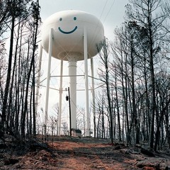 The Night They Drove Old Dixie Down - Joan Baez (Cover) Demo Version WIP