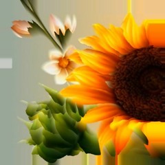 Um Girassol da Cor de Seu Cabelo  (Lô Borges cover)