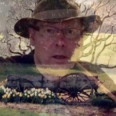 Now I Believe by Stephen Patrick Webster