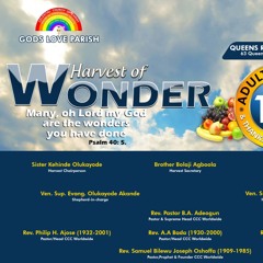 SONG MINISTRATION BY SNR.ELD BR DARE ADEBAYO