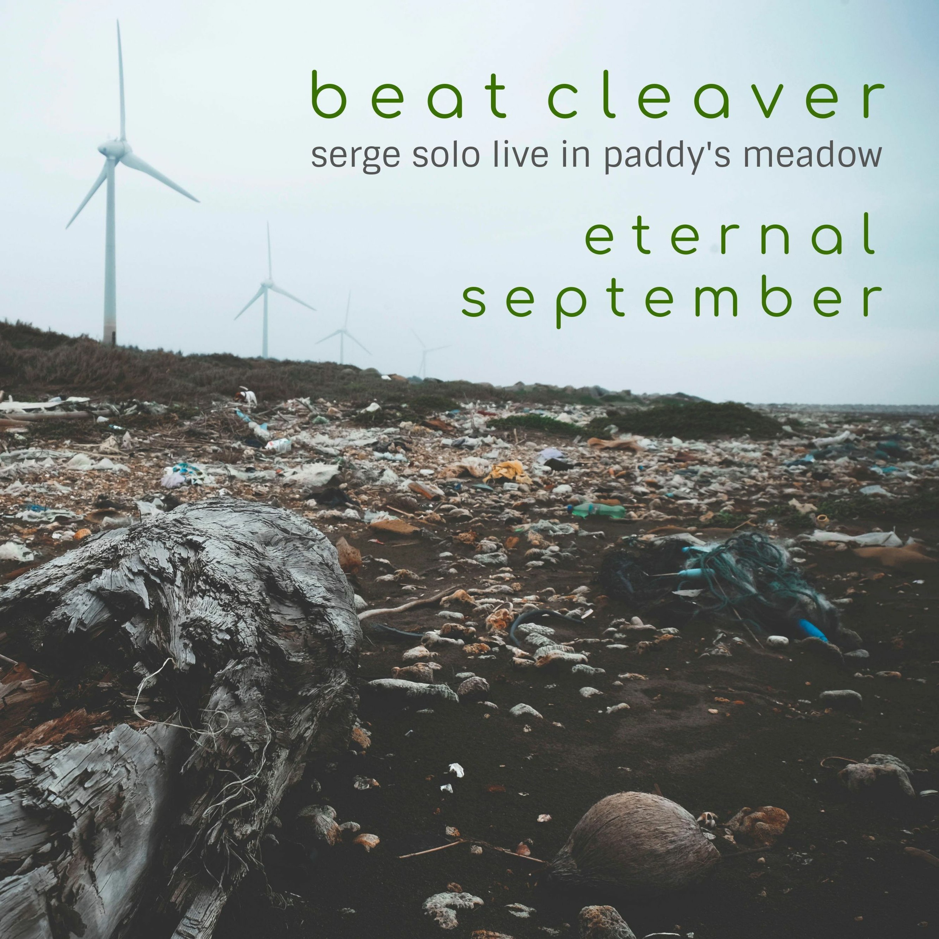 serge solo live In paddy's meadow episode artwork