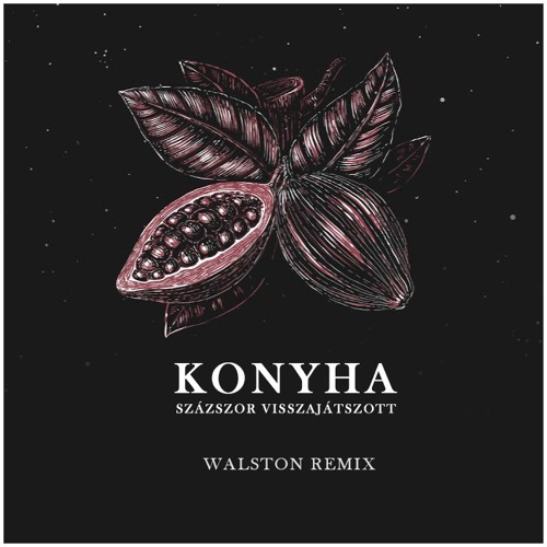 Listen to Konyha - Százszor Visszajátszott (Walston Remix) by WALSTON ♪ in  BigMacLaci playlist online for free on SoundCloud