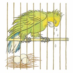 Acytota - Teplo
