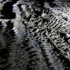 TOOTHLESS - FROM MUD *Lease for 20$*