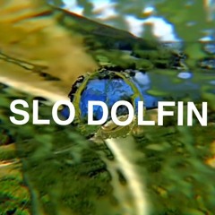 Kalli - Slo Dolfin