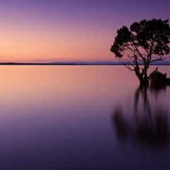 Reflection of the Twilight  (SubZero and Midisound)   NV