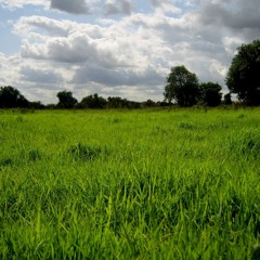 Grantchester Meadows - (Diaz, Guitars, Vocals, Bass, Percussion) - Pink Floyd cover