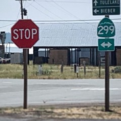 Daily Driver (rough)