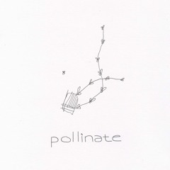 Natural Dyes (Episode 2)