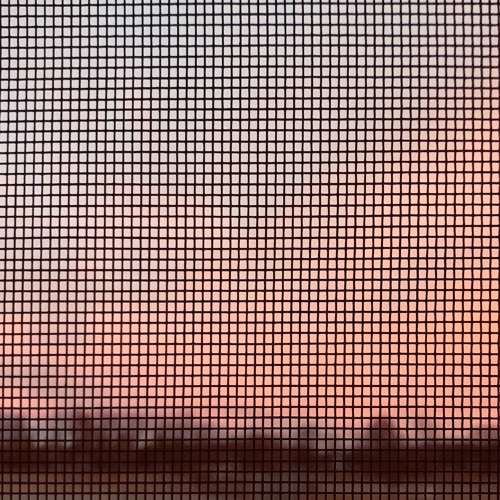 in it for the long haul