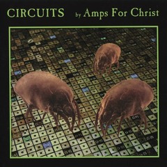 Amps For Christ - Detrimental Anesthesia (from Circuits LP)