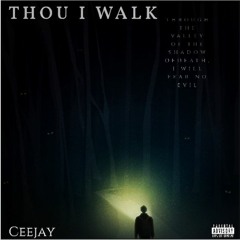 CeeJay - Thou I Walk (Mixed by. Priceless)