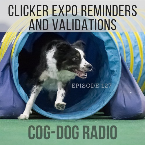 Stream Clicker Expo Reminders and Validations by CogDog Radio Listen