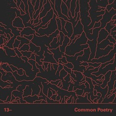 Insurgentes Podcast 13 | Common Poetry