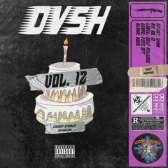 Looney Chunez Vol. 12 Mixed by DVSH