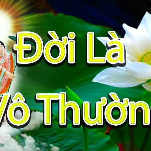 Đời Là Vô Thường - Nghe Để Giác Ngộ Bớt Khổ Trong Cuộc Sống