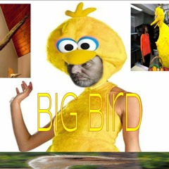 Big Bird ft. poloolo